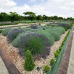 Les Jardins Du Trizay