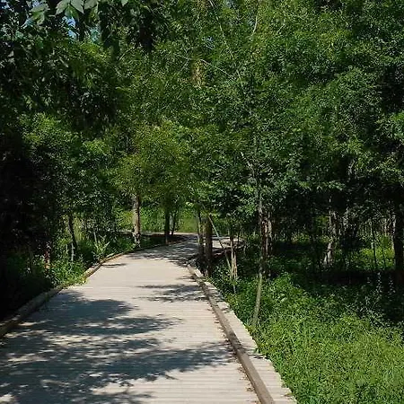 Les Jardins Du Lac 酒店 特里泽