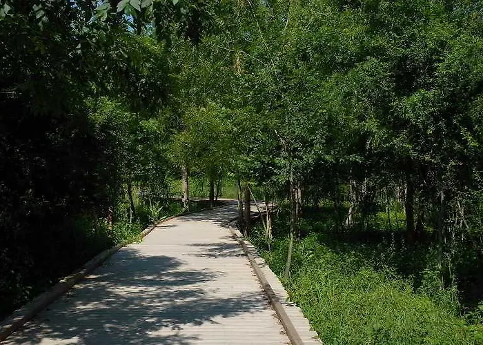 Les Jardins Du Hotel Trizay